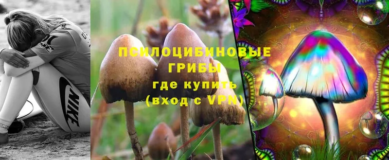 даркнет сайт  даркнет состав  Псилоцибиновые грибы MAGIC MUSHROOMS  Горнозаводск 